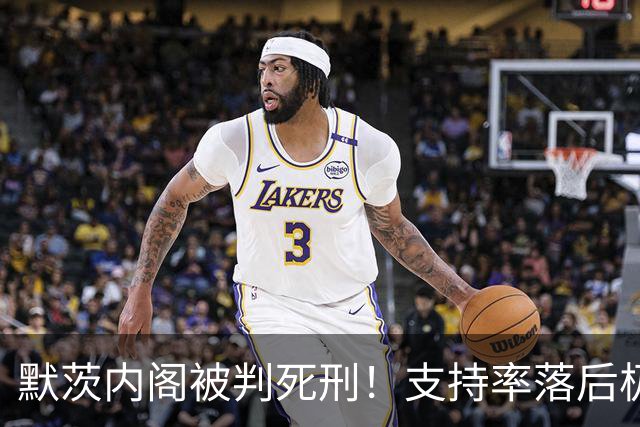默茨内阁被判死刑！支持率落后极右翼8%，下一届选择党接管德国